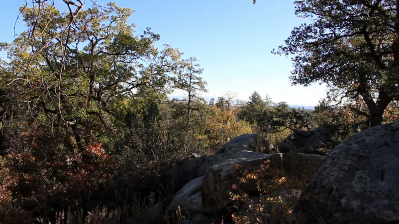 Plumbing service areas near Prescott, AZ